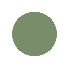 Fundacja Nastolatki logo okrąg zielony pełny